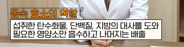 카무트 효소 효능