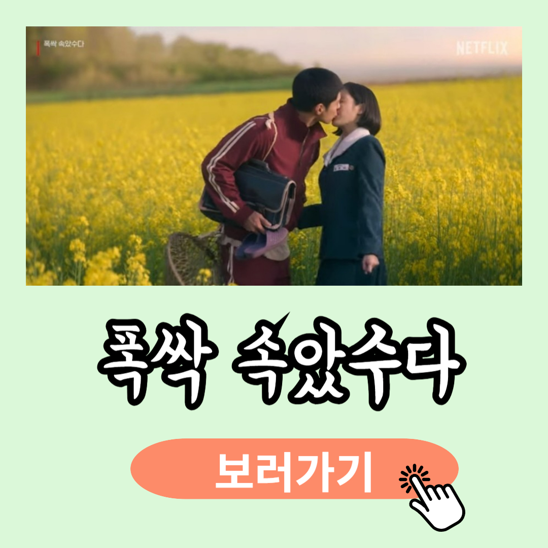 폭싹 속았수다 뜻, 줄거리, 리뷰 총정리