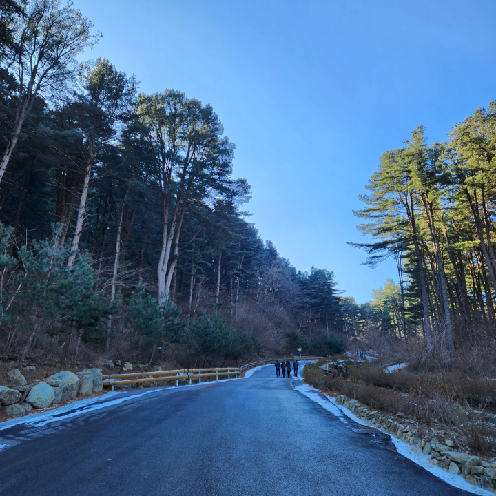 가평잣향기푸른숲의 아침. 밤사이 얼어붙은 겨울 길