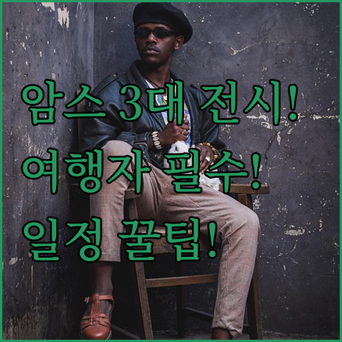 암스테르담 H'ART 뮤지엄 퐁피두 ..