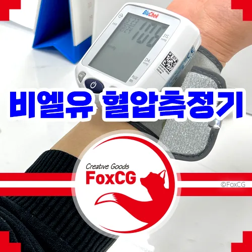 휴대용/가정용 자동 손목 혈압계 추천 - 비엘유 혈압측정기