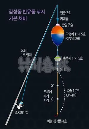 낚시 구멍찌 채비 방법 원줄 목줄 봉돌 바늘 세팅_2