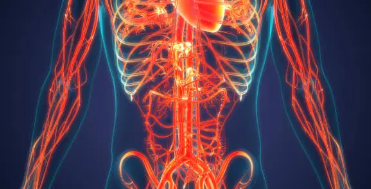 hdl콜레스테롤 정상수치