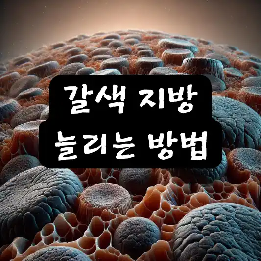 갈색 지방 늘리기 좋은 음식 피해야 할 음식