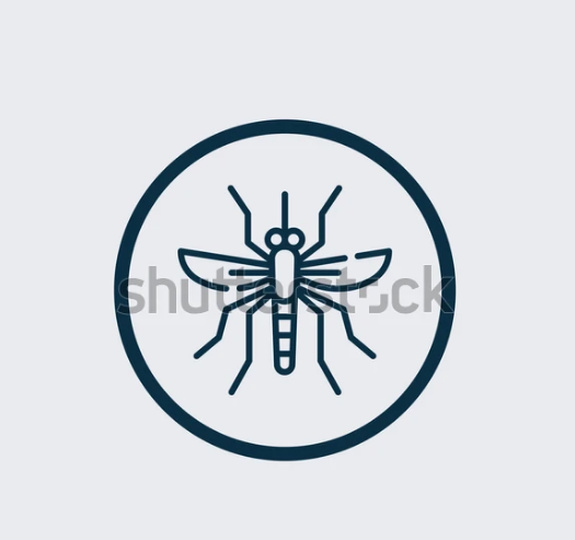 모기 물렸을 때 대처방법