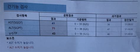 간 보험