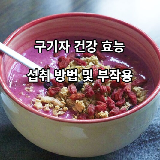 구기자 건강 효능