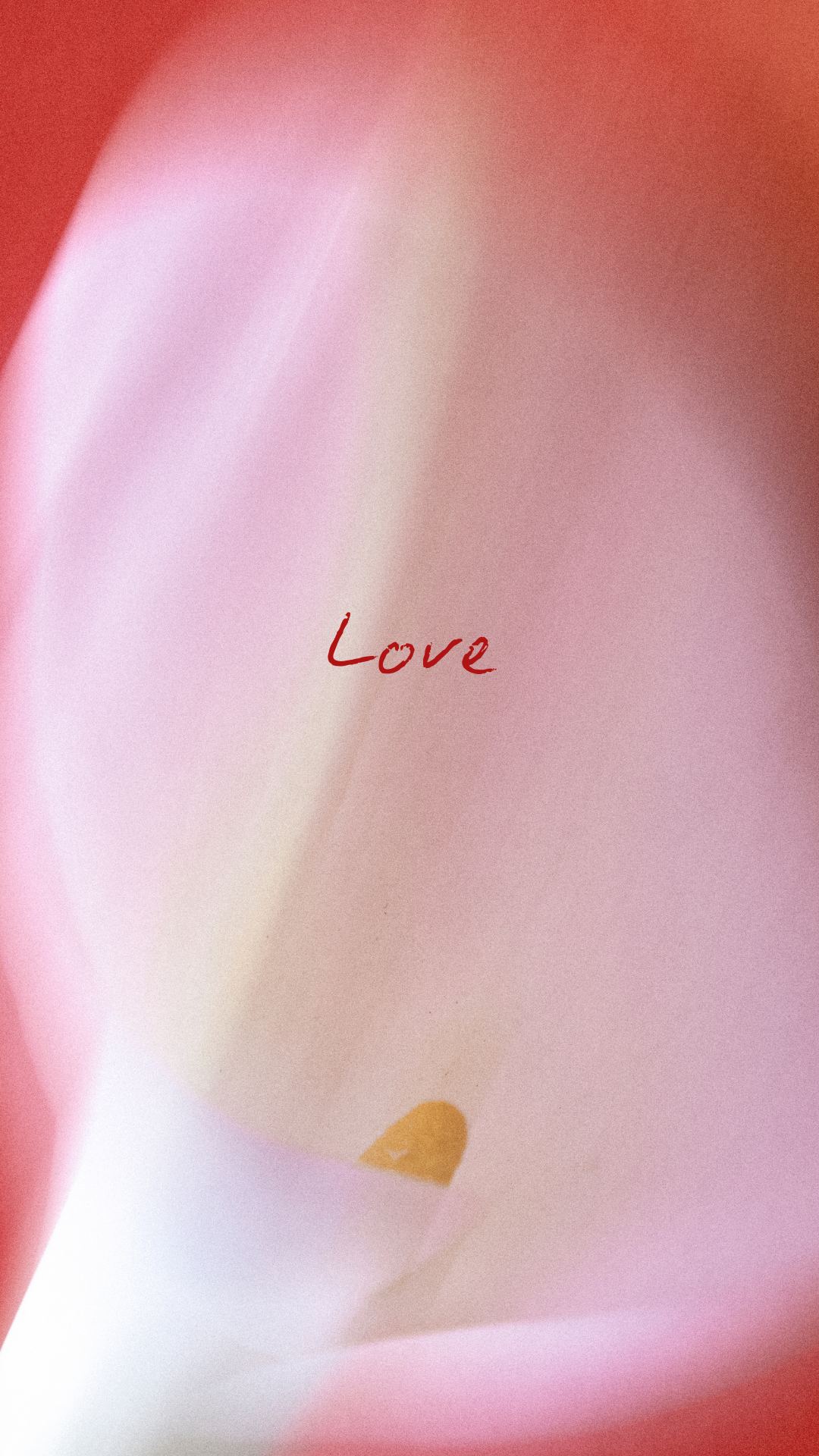 아이폰 배경화면 심플한 바탕화면 이미지 모음