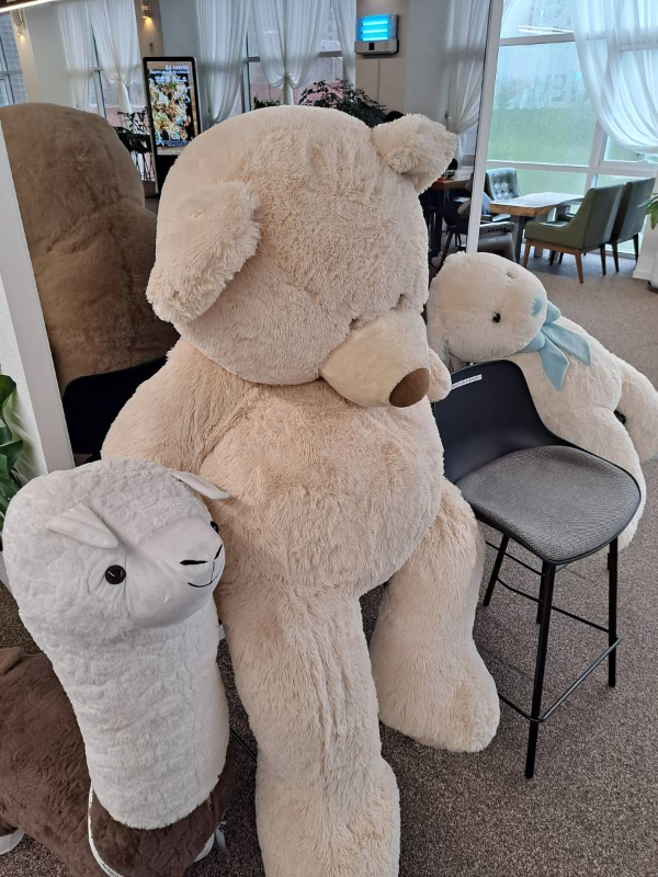 뷰66 카페 인형들