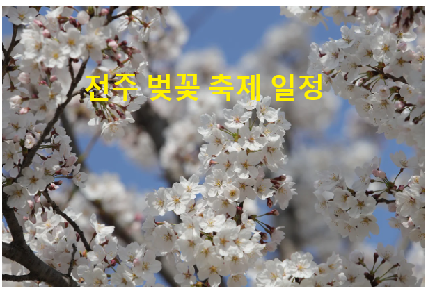 군산 벚꽃축제 일정 및 명소