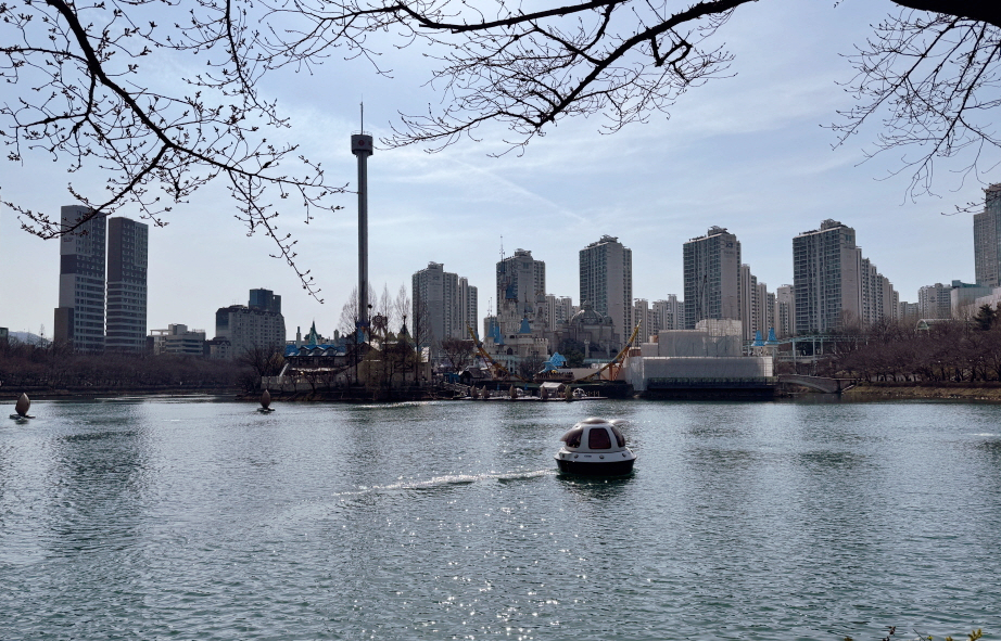 석촌호수 벚꽃 개화상황3