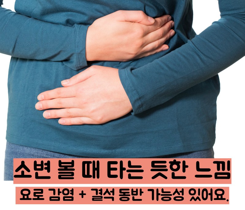 요로결석 증상