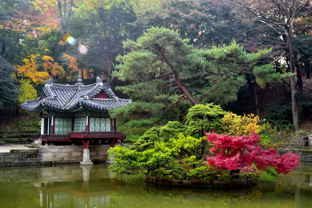 창덕궁 후원 관람 예약 방법6