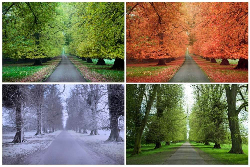 계절 변화에 따른 두피 유수분 밸런스 붕괴 원인 정리