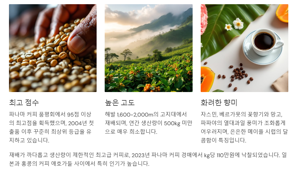 파나마 게이샤 커피