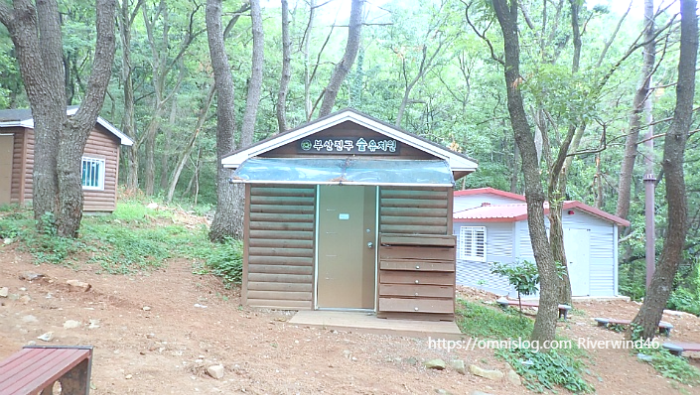 숲속유치원