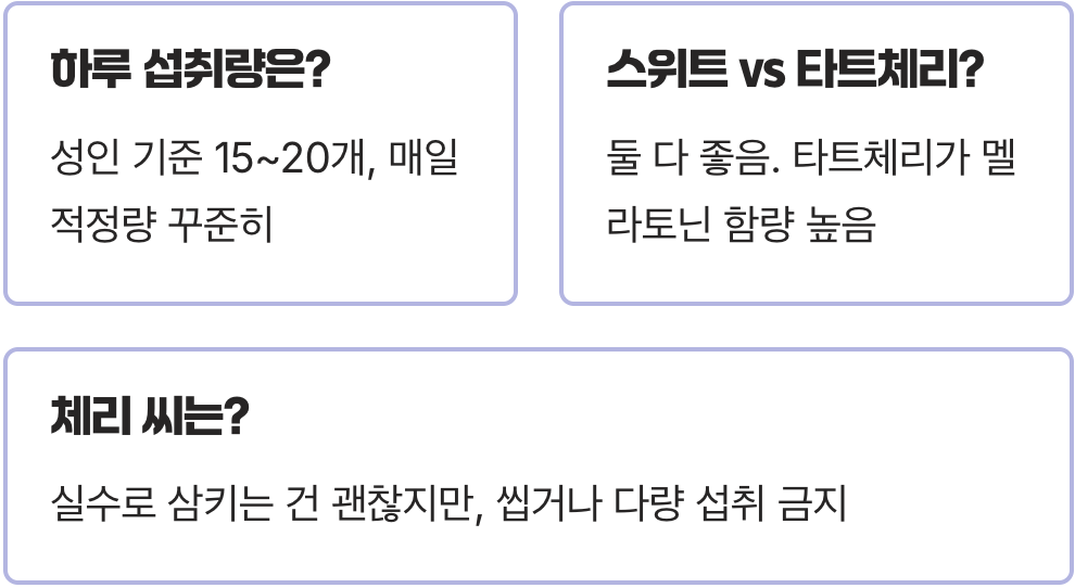 체리효능, 기억력과 뇌 건강에 좋은 이유