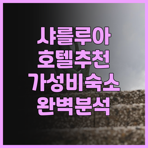 샤를루아 호텔 완벽 분석 아늑한 숙소..