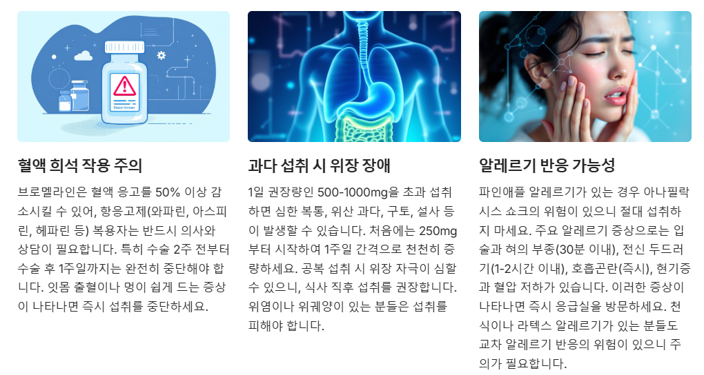 브로멜라인 부작용과 주의사항
