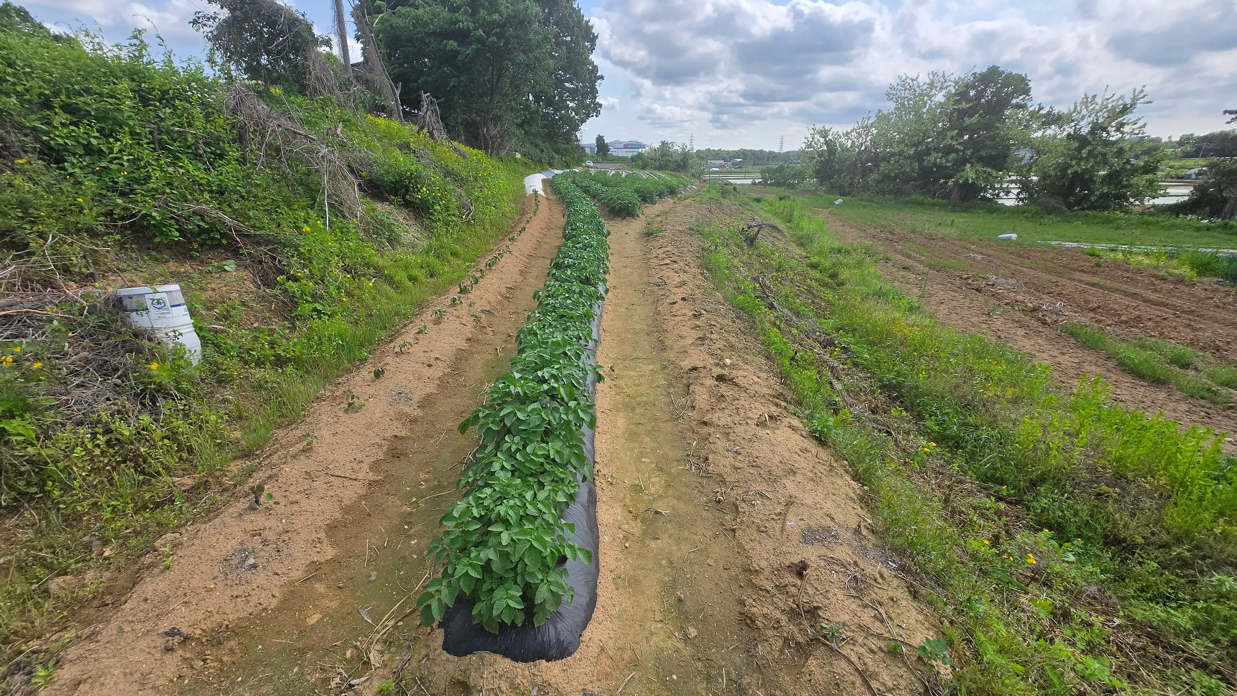 산업화 시기 토지 수요 폭증의 역사, 대한민국 공간이 재편되다