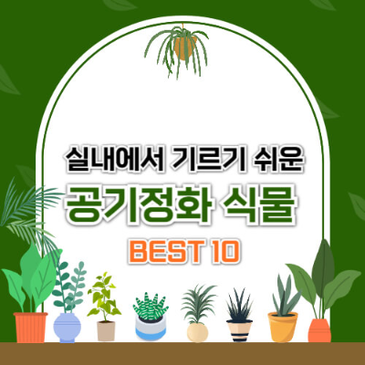 겨울 공기정화식물
실내에서 키우기 쉬운 식물
관리 쉬운 식물 추천
겨울철 인테리어 식물
초보자 식물 키우기
공기정화 효과 식물