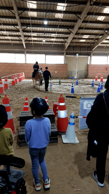 안성팜랜드 승마체험