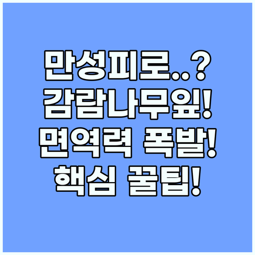 감람나무잎 효능 만성 피로와 면역력을..