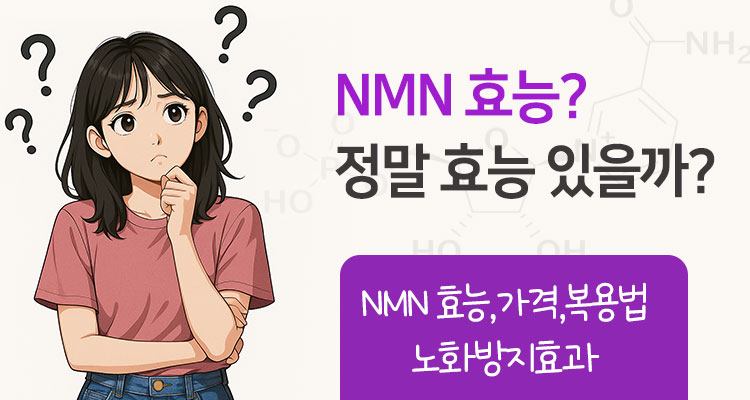 NMN 효능 가격 복용법