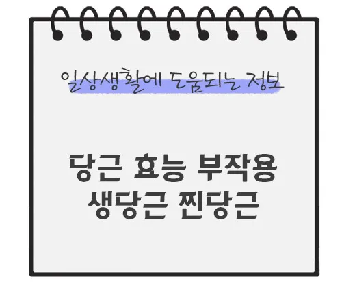 당근-효능-부작용-생당근-찐당근