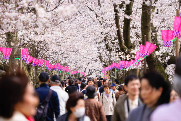 진해군항제, 경주 벚꽃마라톤, 전주한옥마을 문화축제 – 봄 벚꽃과 함께 즐기는 지역 축제