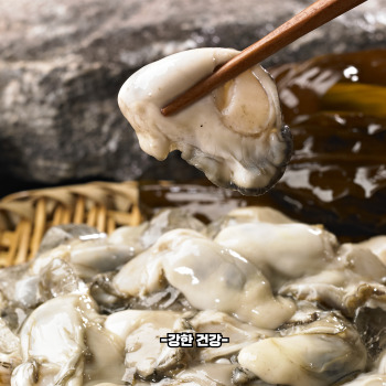 굴 효능