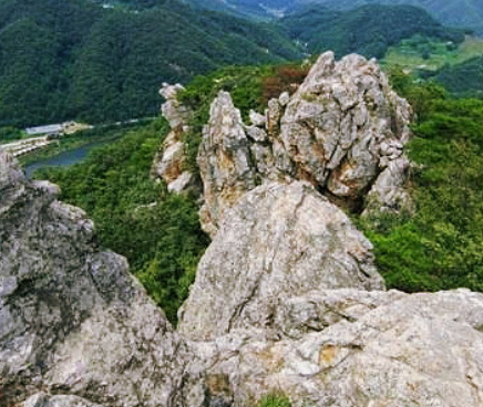 &amp;#39;피톤치드&amp;#39; 걷기좋은 휴양림 BEST 8곳