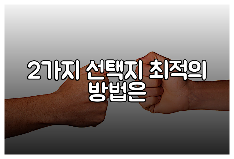 2가지 선택지 최적의 방법은