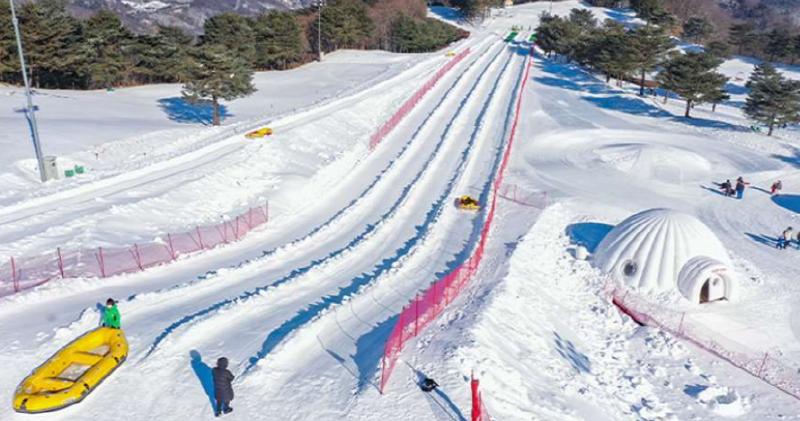 스노위랜드 비발디파크 눈썰매장