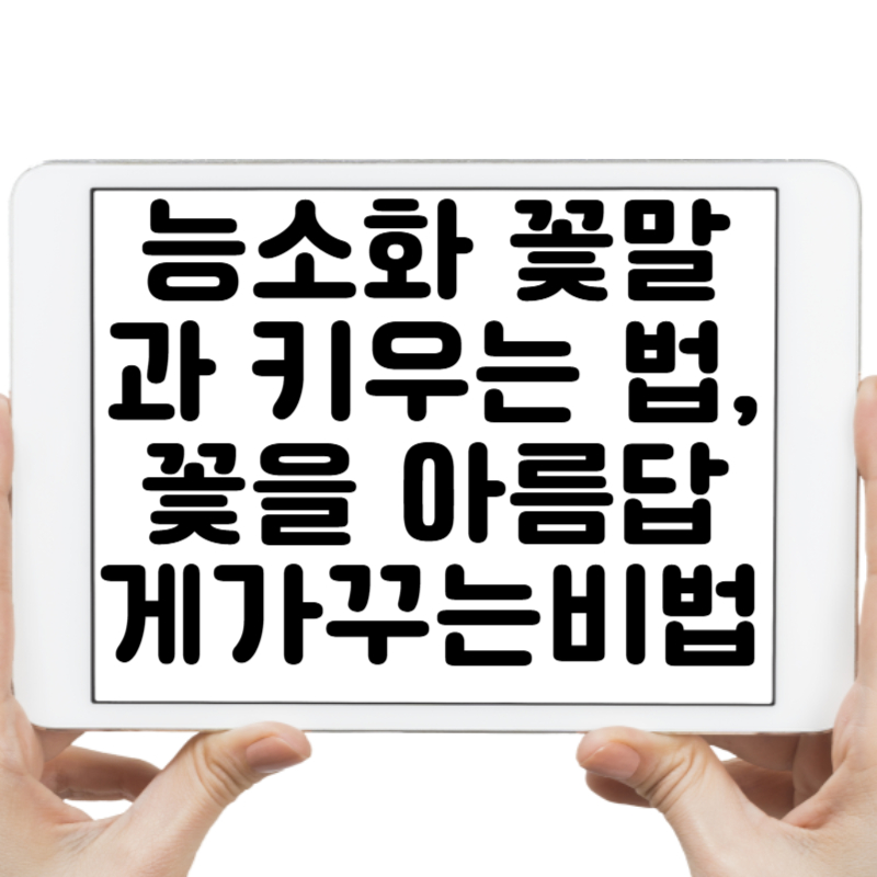 능소화 꽃말과 키우는 법, 꽃을 더 오래 아름답게 가꾸는 비법