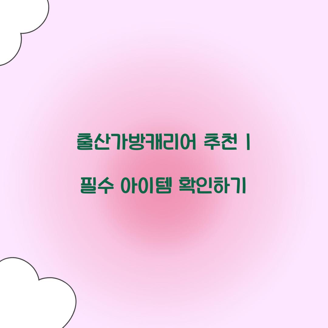 출산가방캐리어 추천