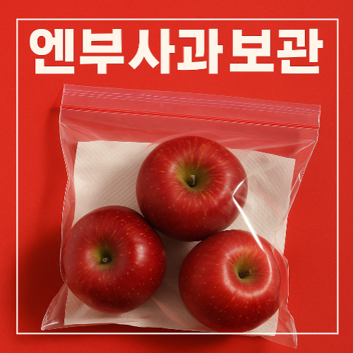 엔부사과 보관법｜냉장보다 오래가는 진공 꿀팁 3가지 썸네일 이미지