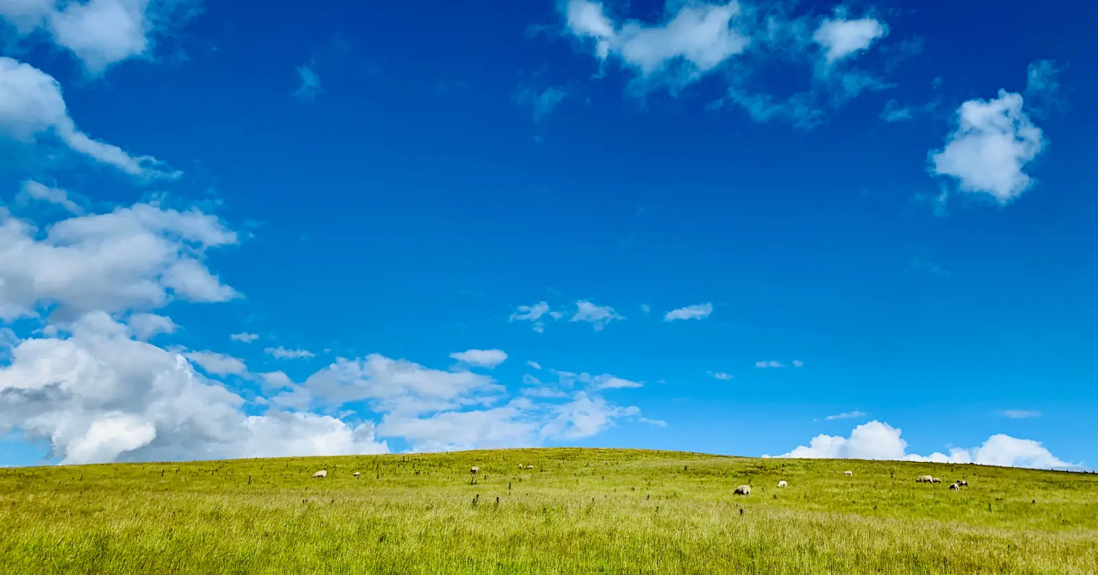 공시지가란 무엇인가? 기준가의 개념과 목적