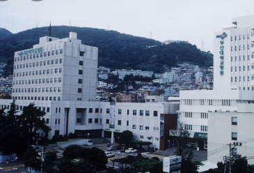 부산 대전 대구 상급종합병원 리스트