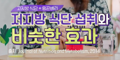 링곤베리 효능