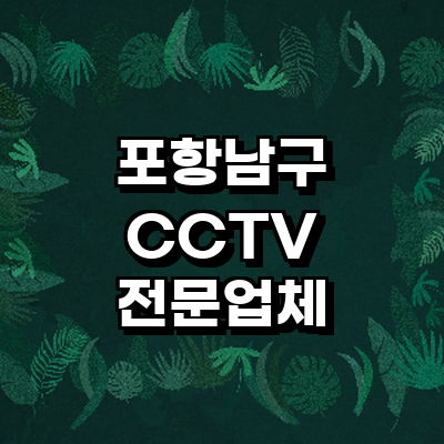 포항시 남구 cctv