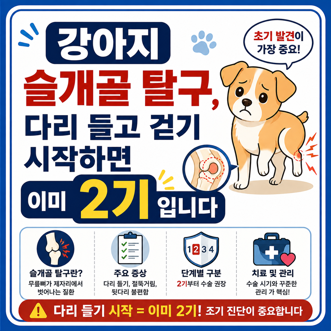 강아지 슬개골 탈구