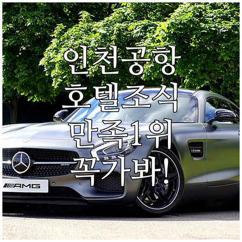 영종도 인천공항 주변 호텔 조식 및 ..