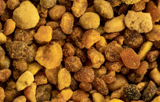 프로폴리스 효능, 부작용, 복용법 총정리 (2024ver)