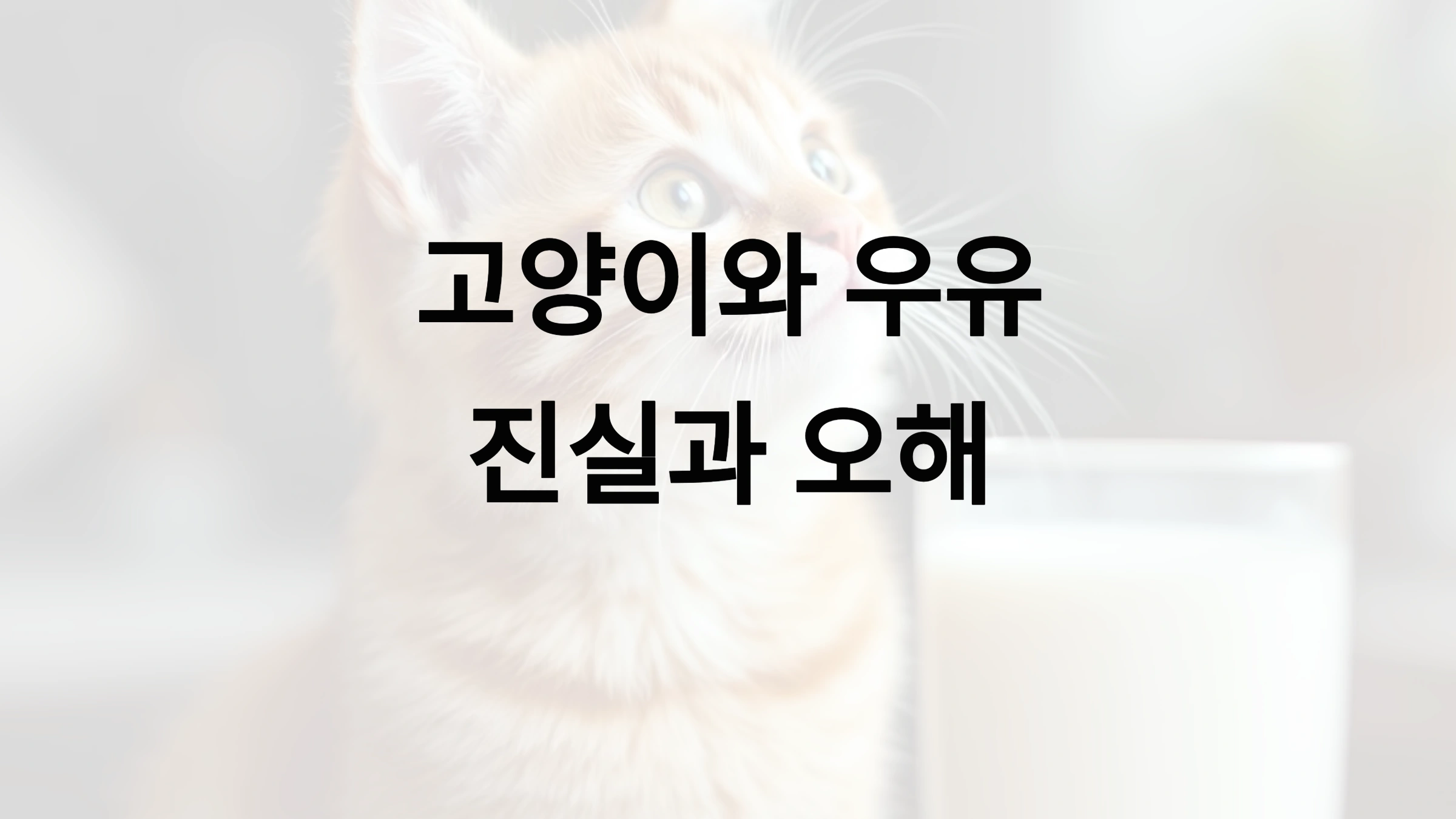 고양이가 우유를 먹어도 괜찮을까? 유당불내증과 대처법