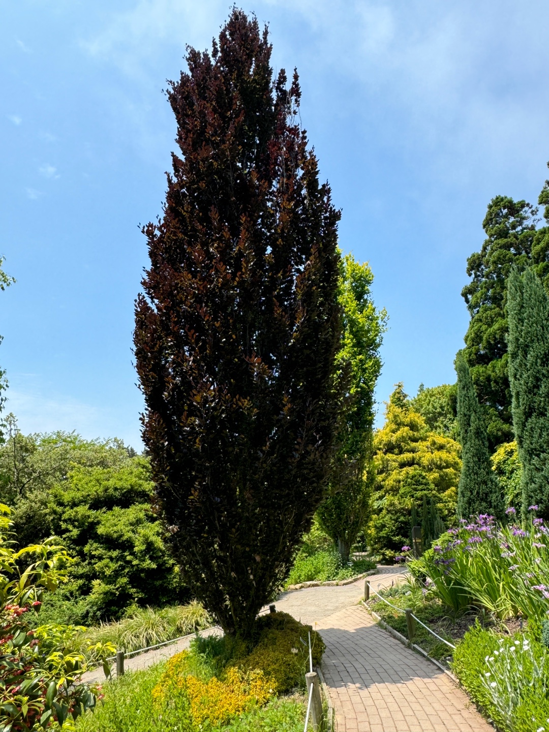 천리포수목원