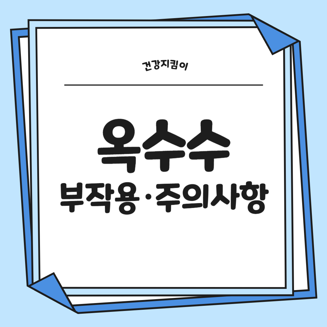옥수수 효능과 부작용 영양성분 고르는법 칼로리