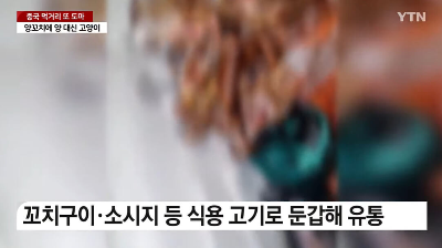 양꼬치에 양 대신 고양이 고기 뉴스 기사 이미지