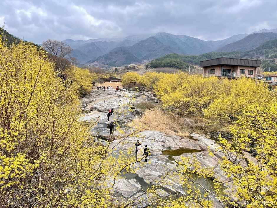 구례 가볼만한곳 베스트10