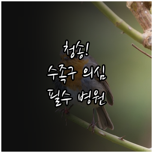 청송군 수족구 의심시 방문할 병원 목..